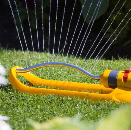 Water the lawn
