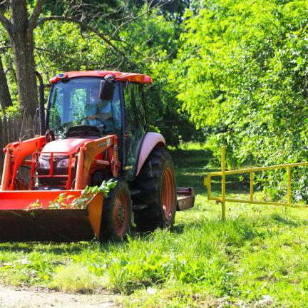 Photo: someone clearing brush with heavy equipment in an easement