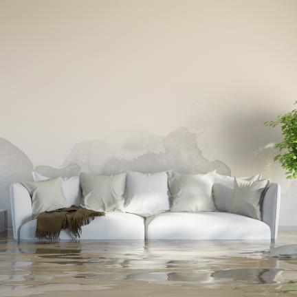 Photo: a flooded living room