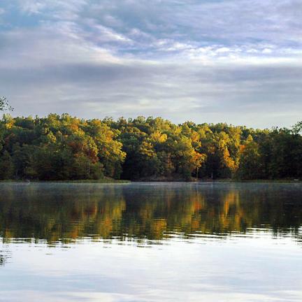 Riparian buffers are strips of native vegetation that protect pollution from entering bodies of water like the Occoquan River.