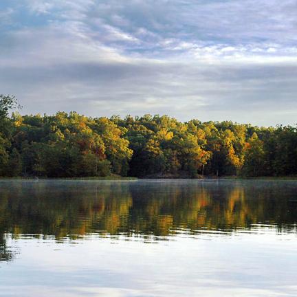 Riparian buffers are strips of native vegetation that protect pollution from entering bodies of water like the Occoquan River.