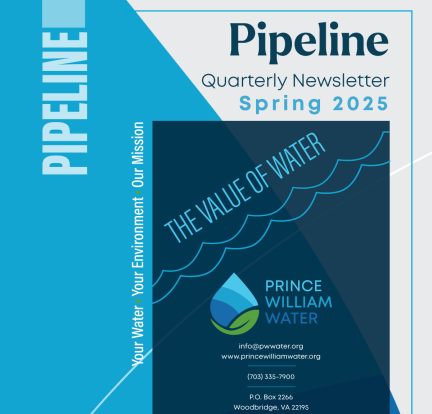Spring Pipeline 2025