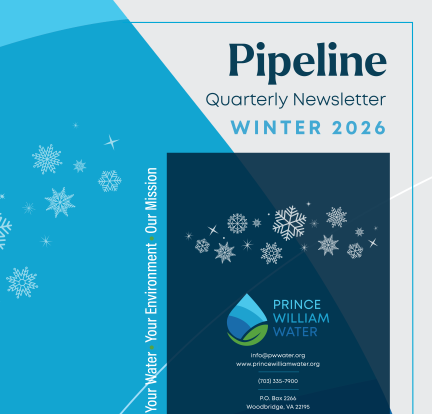 Winter 2026 Pipeline