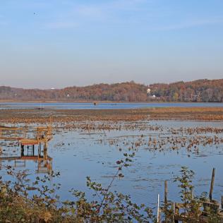 Quantico Creek