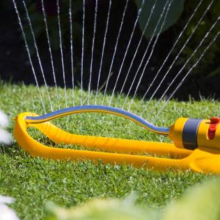 Water the lawn