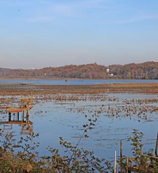 Quantico Creek