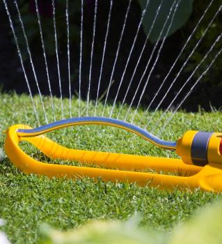 Water the lawn