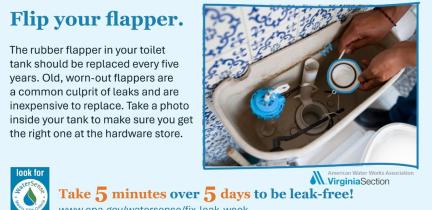 Fix a leak week graphic about fixing a toilet flapper