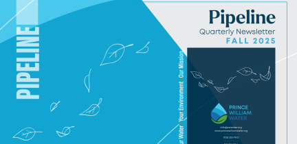 Fall 2025 Pipeline cover