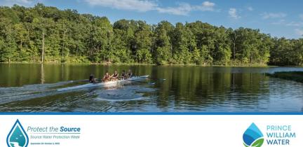 A group of rowers on a wide, calm river with green trees and a clear sky in the background