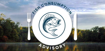 Fish Consumption Advisory - A fish on a plate overlaid on the Occoquan Reservoir