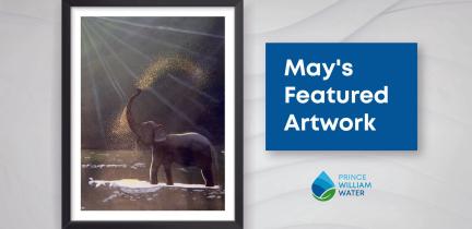 May's Featured Water Art Invitational Artwork: An elephant spraying water over itself with its trunk.