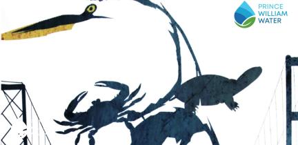 A graphic depicting wildlife of the Chesapeake Bay (a shorebird, crab and turtle) silhouetted between the Chesapeake Bay Bridge