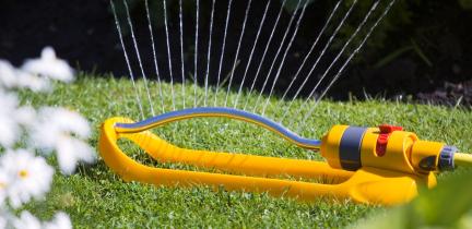Water the lawn