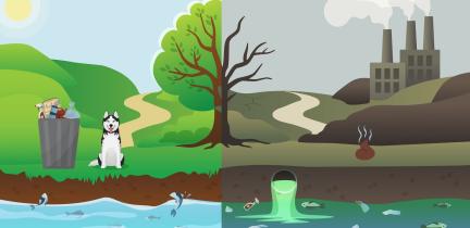 A graphic comparison between a clean waterway on the left and an unhealthy one on the right