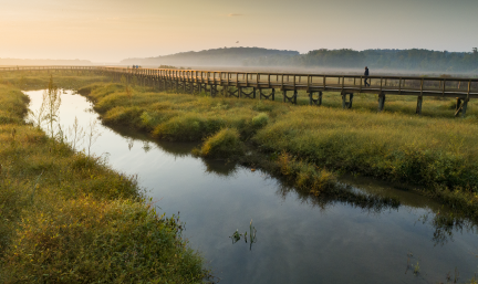 Photo: a serene sunset at a wetland. A boardwalk stretches out through the wetland, running next to a creek.