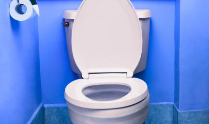 Photo: a toilet in a blue bathroom