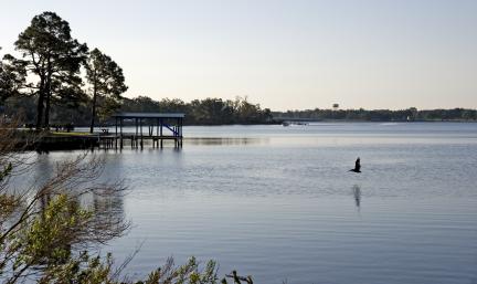 Photo: a pelican flying over a lake