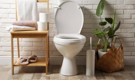 A ceramic toilet in a peaceful and clean bathroom with a bamboo shelf and a plant