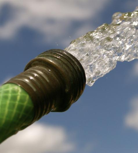 Photo: a garden hose spraying
