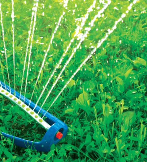 Irrigation Schedule